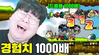 하다하다 경험치 1000배 드롭율 1000배 메이플스토리 서버 ㅋㅋㅋ [테스터훈]