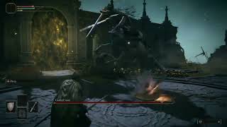 Elden Ring, can I beat Grafted Sion first try ?￼