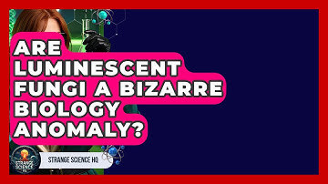 Are Luminescent Fungi A Bizarre Biology Anomaly? - Strange Science HQ