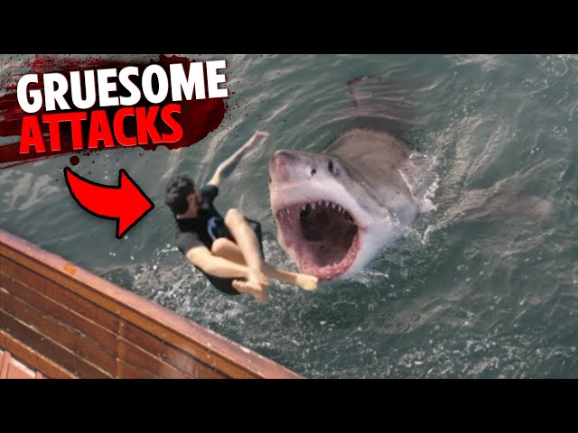 The Most GRUESOME Great White Shark Attacks MARATHON! class=