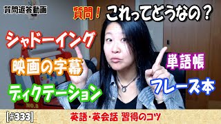 【英語習得のコツ】映画の字幕・シャドーイング・ディクテーションとかってどうなの？ [333]  英語習得アドバイス ー レイナと楽しく英会話