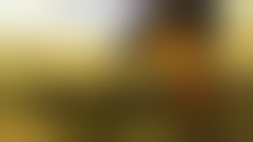 Fallout: New Vegas [PC Win, PS3, X360] Dev Diary 3: Art Direction Promo Video