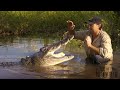 Matt SWIMS with a WILD CROCODILE!