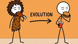 The Human Evolution