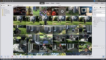 Photoshop Elements 2020 Tutorial Managing Files in the Organizer Adobe Training