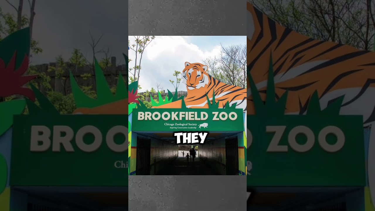 WHAT HAPPENED TO TIMMOTHY PITZEN PART 1