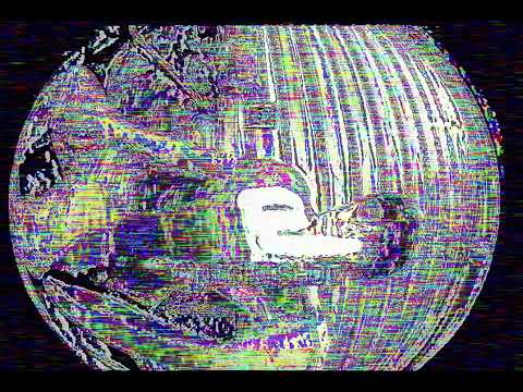 Kid Antics ( Official Music Video ) 