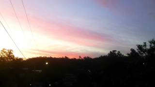currawong sounds at sunset - NW Brisbane