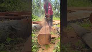 oprator chainsaw kecepatan penuh #automobile #asmrvideo #woodworking