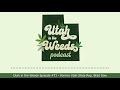 Former State Rep. Brad Daw | Utah in the Weeds #71