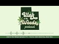 Former State Rep. Brad Daw | Utah in the Weeds #71