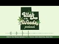 Former State Rep. Brad Daw | Utah in the Weeds #71