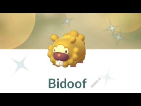 Pokemon Go Bidoof Shiny ビッパ Bippa Keunotor Bidiza 비버니 大牙狸 บ ปปา Youtube