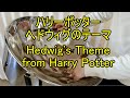 ハリーポッターのヘドウィグのテーマをスティールパンで演奏してみた／Hedwig's Theme from Harry Potter