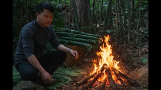 Download Lagu CEO Egan is lost in the deep forest – Will he survive? And can Egan escape from that forest? MP3