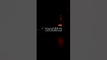 اكتب شيء تؤجر عليه ❤😴 // القارئ ياسر الدوسري