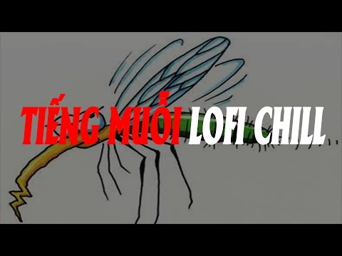 Video Lofi Tiếng Muỗi Kêu Cực Chill | Nhạc Lỏ Phi Vo Ve Ấm Áp - youtube