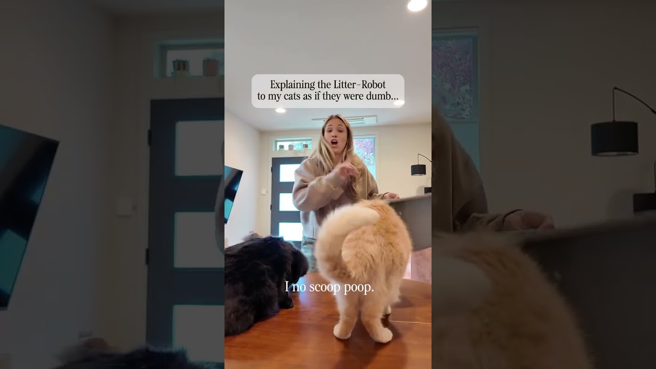 We all know cats are smarter than humans so is this explanation really for them? thelitterrobot