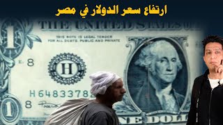 اسعار الدولار في مصر