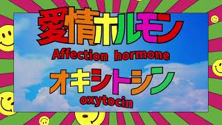 Happy Hormones (Official Lyric Video)　Atarashii Gakko!