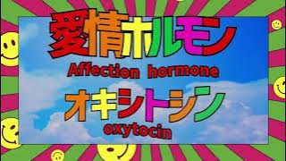 Happy Hormones (Official Lyric Video)　ATARASHII GAKKO!