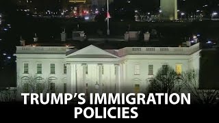Trump administration immigration policies | KTVU