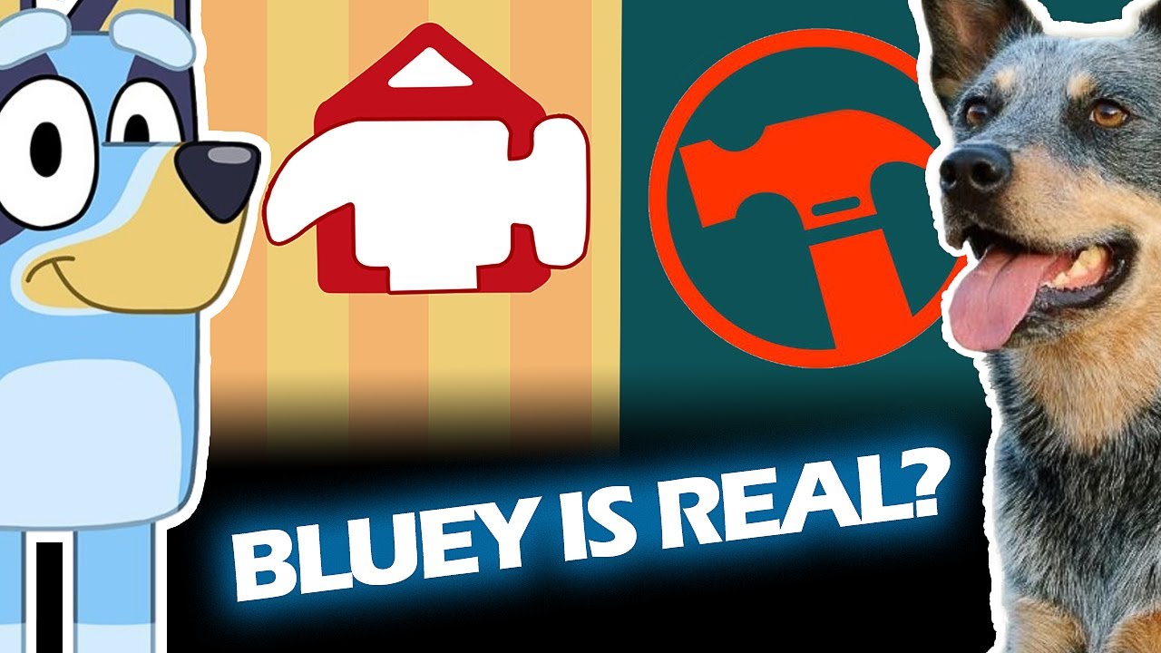 Bluey s Hometown IS REAL The Brisbane Bunnings Hammerbarn CHALLENGE bluey-s-hometown-is-real-the-brisbane-bunnings-hammerbarn-challenge