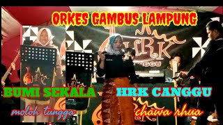 ORKES GAMBUS LAMPUNG-HRK CANGGU -BUMI SEKALA #wirchannel