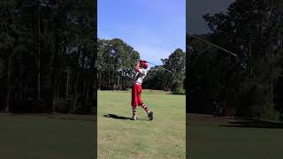 Golf Knickers