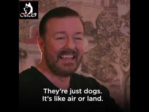 Ricky Gervais - I Absolutely Love Dogs - YouTube