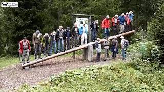Seniors on a Field Trip without supervision