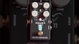 30 Seconds of Pure 'Oceans 11' Reverb Magic ✨