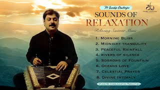 1Hour RELAXING MUSIC I Pt.Sandip Chatterjee I Santoor - Music for meditation, Sleep & Stress Relief screenshot 4