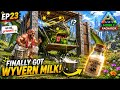 I Became a WYVERN MILKMAN! 😂🐉 | How To Collect Wyvern Milk In ARK Mobile EP23