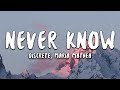 Discrete - Never Know (Lyrics) ft. Maria Mathea