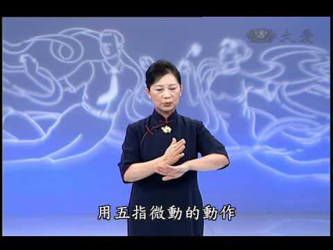 大愛電視DaAiTV_妙手入經藏_第5集.wmv