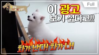 [Full] 세상에 나쁜 개는 없다  일상생활 불가! 분노의 자몽이