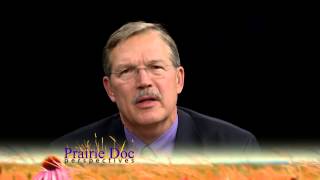 "Prolonging life and suffering" By Richard P. Holm, MD