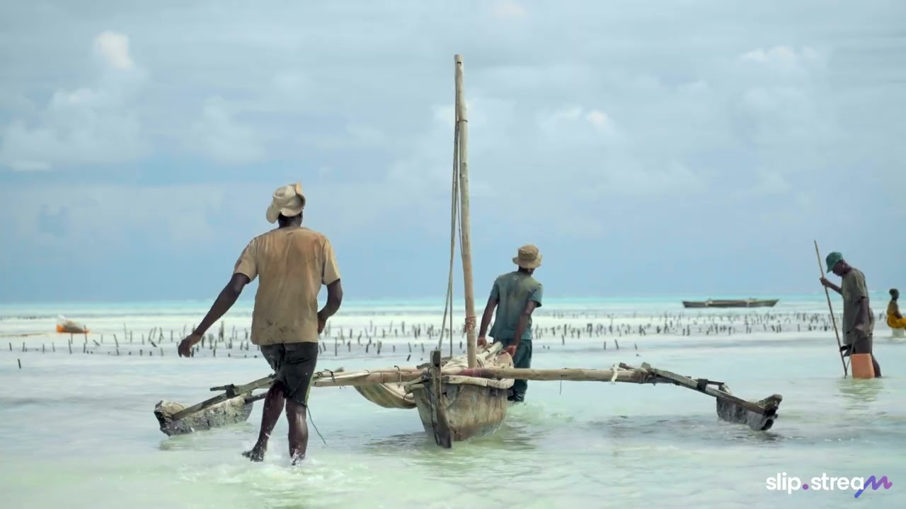Slip Stream Ad - Inspiration to Travel