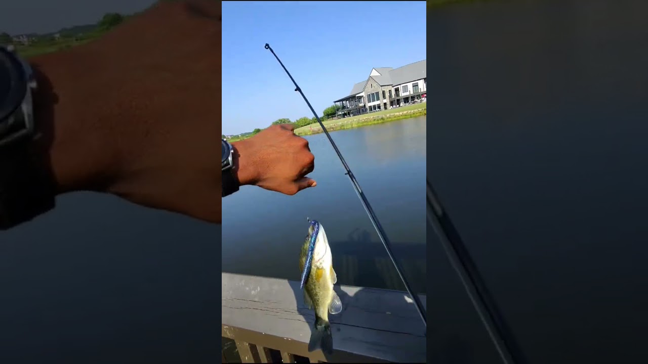 Let's Go Fishing 🎣 PT.1 