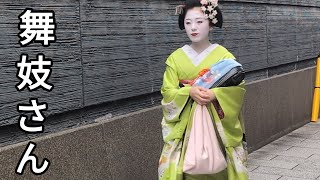 舞妓さんと芸鼓さん👘祇園花見小路Kyoto Maiko Japan🇯🇵