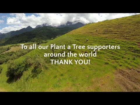 #YourConservationWins2021: The habitats restored by our Plant a Tree supporters