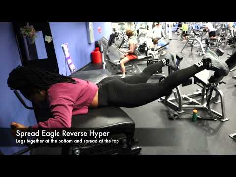 Spread Eagle Reverse Hyper
