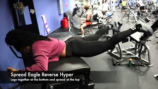 Spread Eagle Reverse Hyper