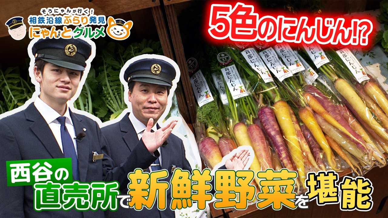Nishitani Station Edition] Sounyan Goes! A Stroll Along the