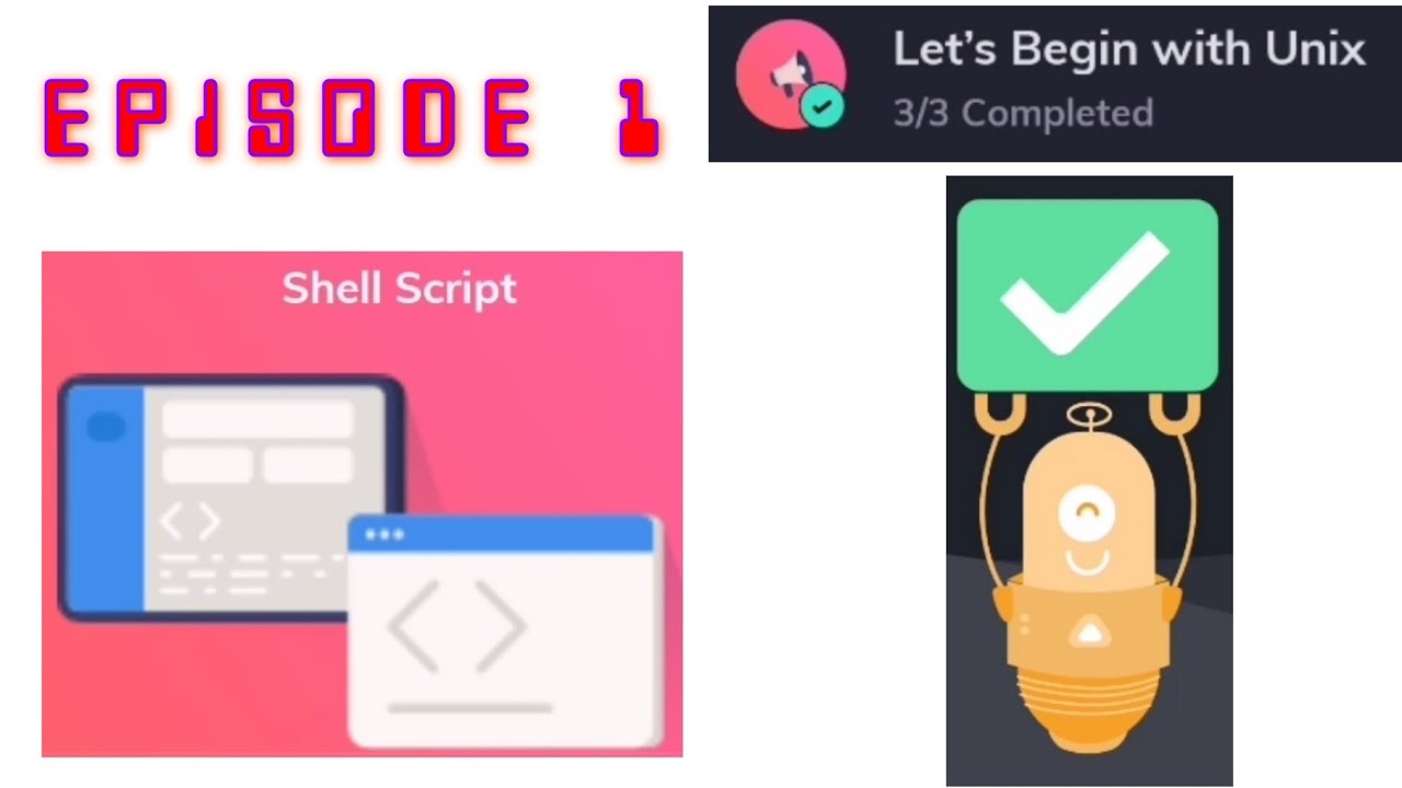 Let's Learn Shell Script with Programming Hub | Episode 1 - YouTube