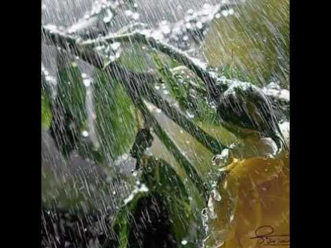 قصة يوسف عليه السلام للشيخ محمد عبد الله المقرمي