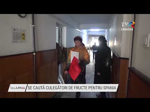 SE CAUTĂ CULEGĂTORI DE FRUCTE PENTRU SPANIA