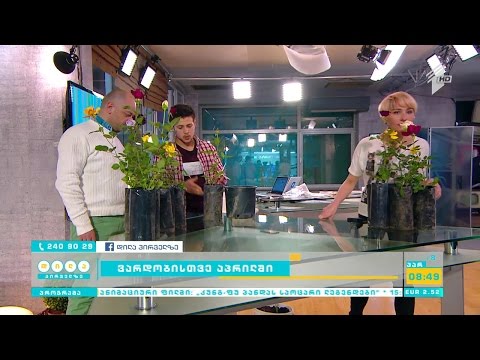 ვარდობისთვე აპრილში - როგორ დავაფესვიანოთ ვარდის კალამი?