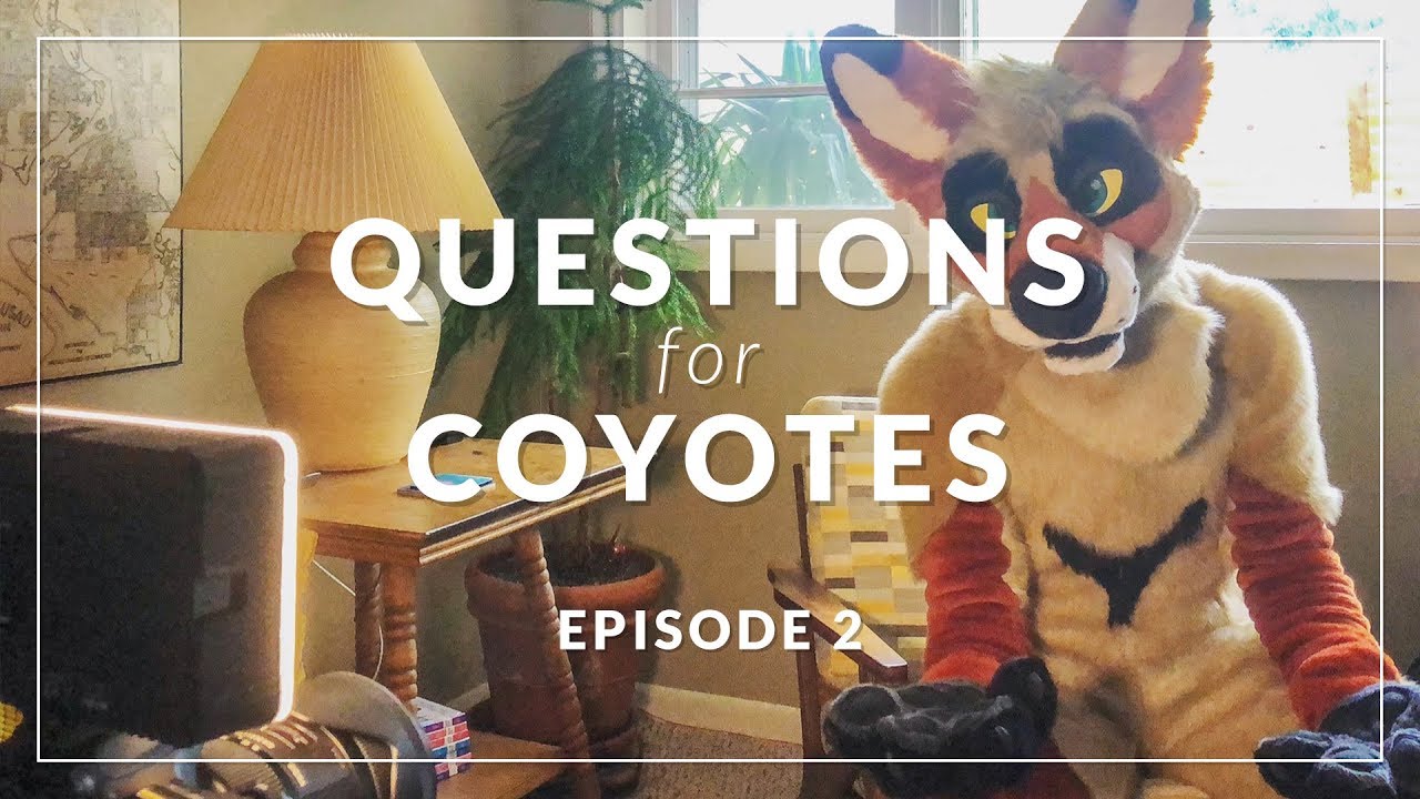 Download Questions for Coyotes, Episode 2